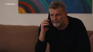 Episodio 167