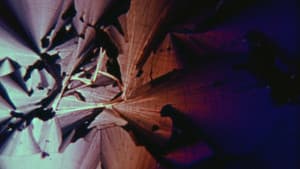 Crystallization — foto 1