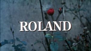 Roland — foto 1