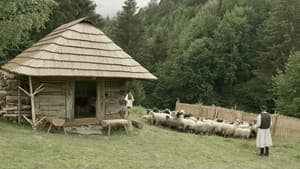 Ovčiarskou cestou — foto 4