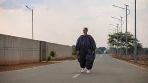 On Becoming a Guinea Fowl — foto 6
