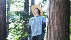 ペンションメッツァ — foto 3