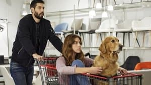 Episodio 8