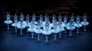 Le Lac des Cygnes [Opéra National de Paris] — foto 1