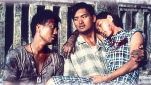 等待黎明 — foto 1