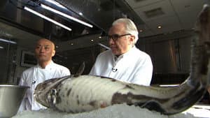 Alain Ducasse, Japanese Cuisine Par Excellence — foto 1
