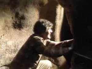 Episodio 9