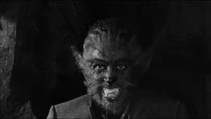 Los colmillos del lobo — foto 2