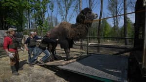 Checkpoint Zoo — foto 2