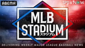 MLBスタジアム — foto 1
