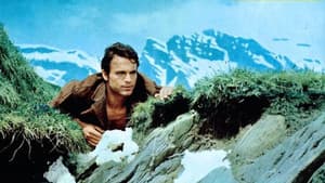 Ruf der Wälder — foto 1