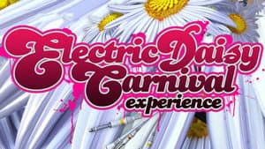 Electric Daisy Carnival Experience — foto 1
