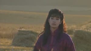 望夫崖 — foto 1