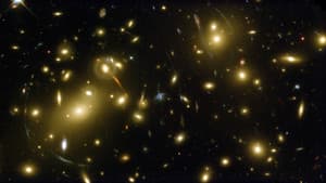 Stephen Hawking and the Theory of Everything — foto 1