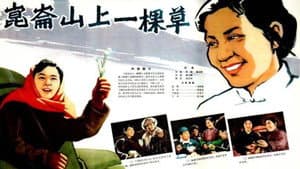 昆仑山上一棵草 — foto 1