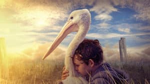 Storm Boy — foto 2