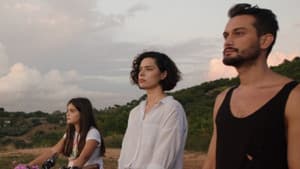 Deniz ve Güneş — foto 1