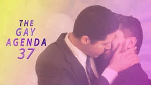The Gay Agenda 37 — foto 1