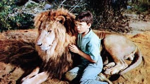 The Lion — foto 1