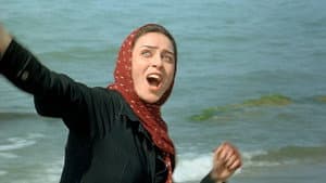 درباره الی‎‎ — foto 7