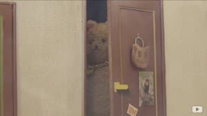 フォーカード — foto 1