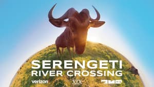 Serengeti River Crossing — foto 1