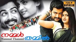 നമ്മൾ തമ്മിൽ — foto 1
