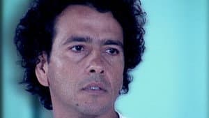 Episodio 146