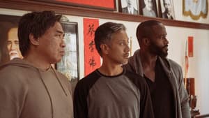 Los tigres de papel — foto 9