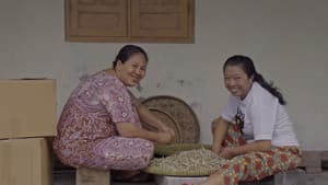 Omah Omah — foto 1