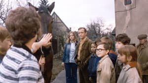 Ten kůň musí pryč — foto 1