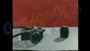 Deformed Analog Personality — foto 1