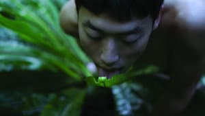 Pteridophilia — foto 1