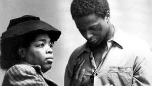 Native Son — foto 1
