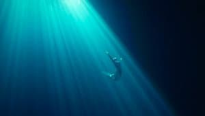 Sirenas Contra el Plástico — foto 2
