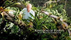 Kingdom of Plants — foto 6