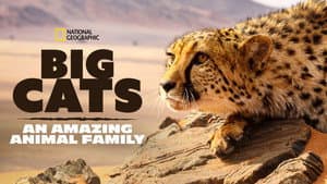 Big Cats: An Amazing Animal Family — foto 7