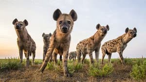 World's Sneakiest Animals — foto 1