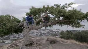 Episodio 2