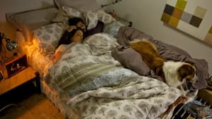 Arbusto sin perro — foto 8