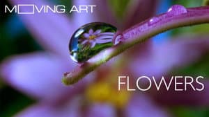 Moving Art — foto 4
