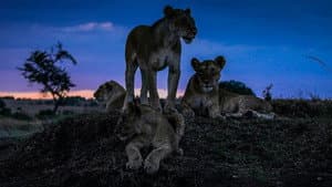 La Tierra de noche — foto 2