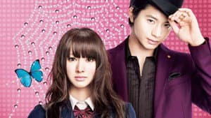 パラダイス・キス — foto 2