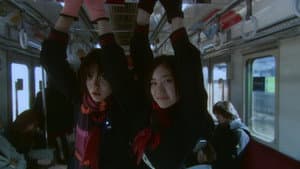 花とアリス — foto 8