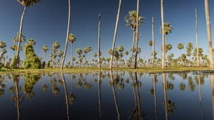 Wild Argentina: Extreme Earth — foto 3