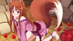 Spice and Wolf — foto 12