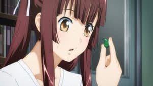 Shin Ikkitousen — foto 3