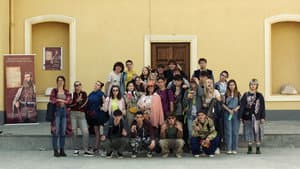 17 — foto 3