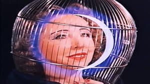 The Inauguration of the Pleasure Dome — foto 3