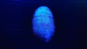 Extreme Forensics — foto 1